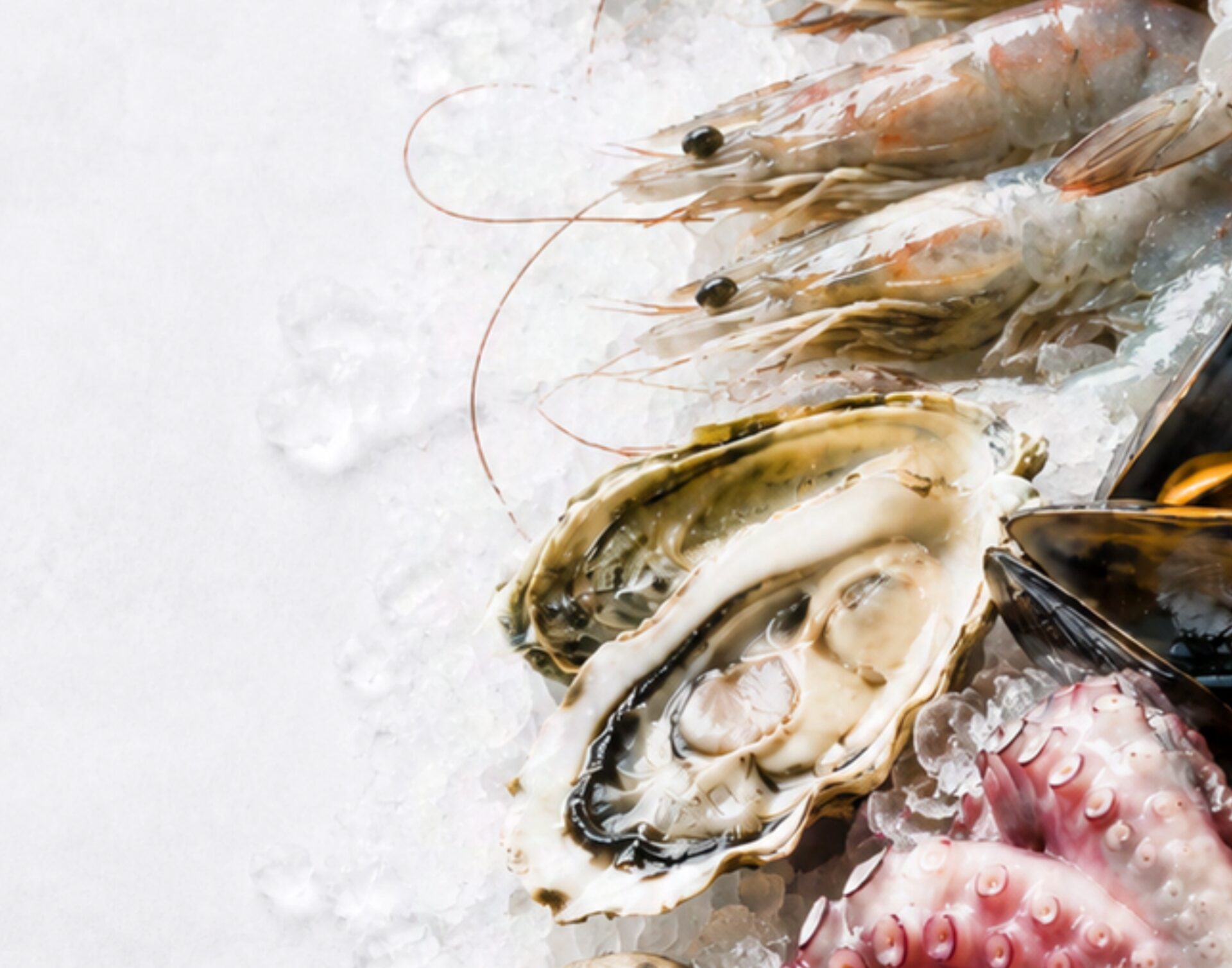 Mariscos frescos: camarones, ostras y pulpo sobre hielo